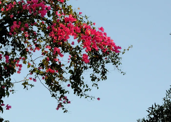 Hotell Village & Hersonissos (Crete)