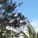 Village & Hersonissos (Crete)