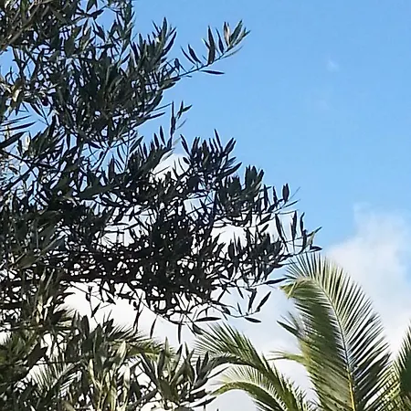 Village & خيرسونِسوس