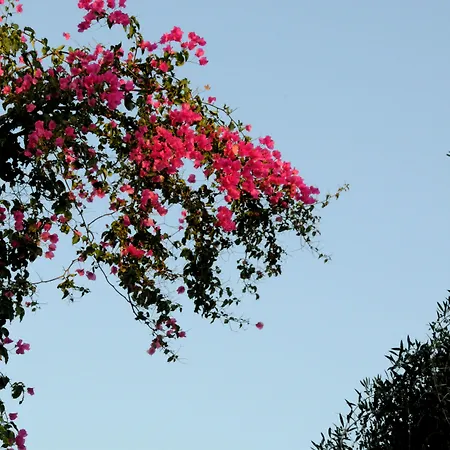 Hotel Village & Hersonissos (Crete)